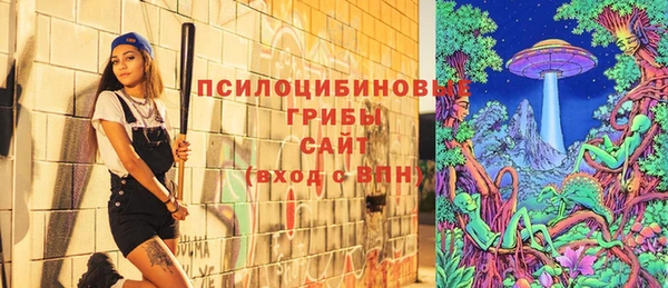 герыч Алексин