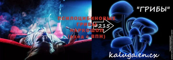 герыч Алексин